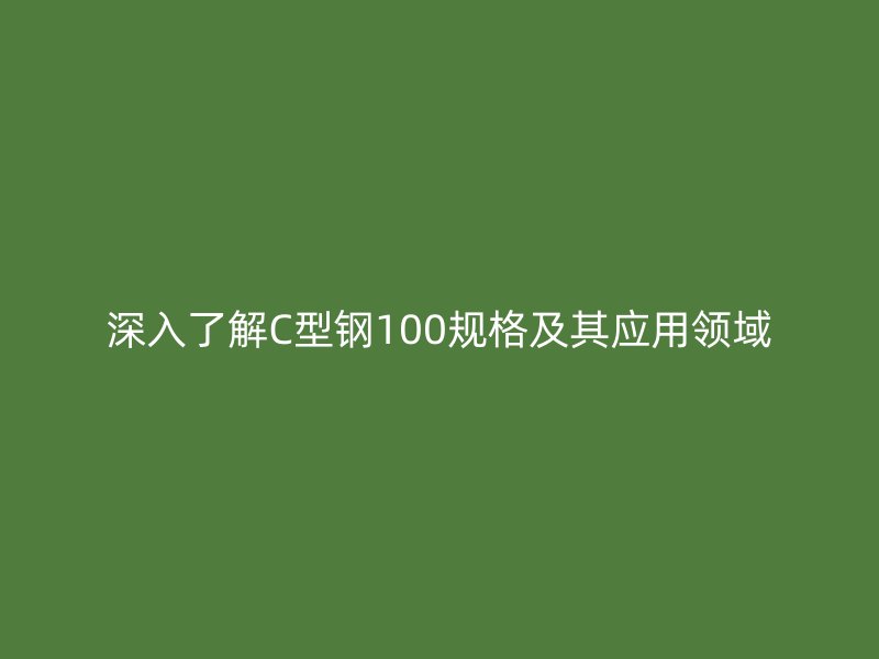 深入了解C型鋼100規格及其應用領域
